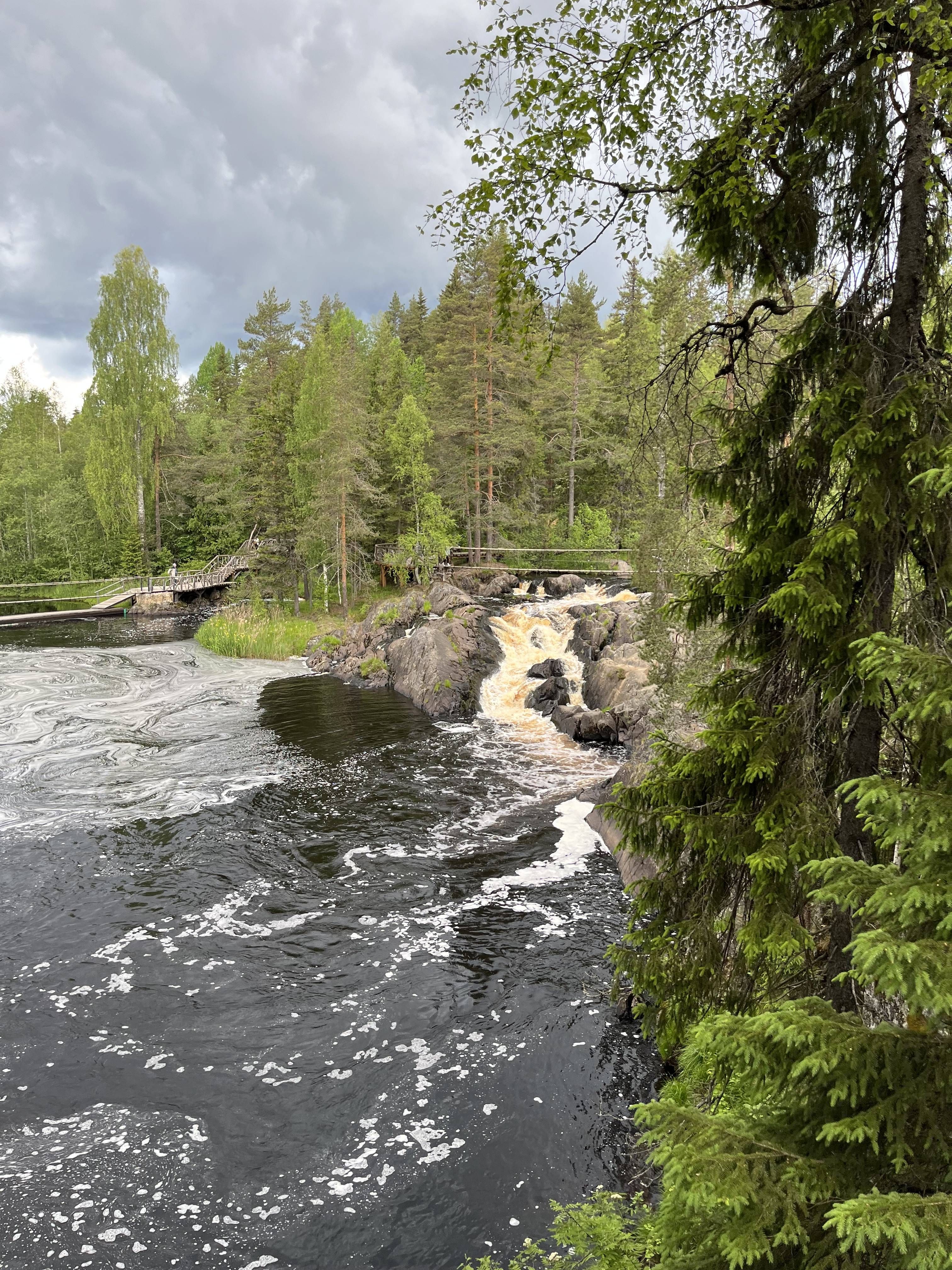 картинка Овощи от Квест Батл