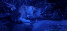 картинка Darkness  mission от Квест Батл